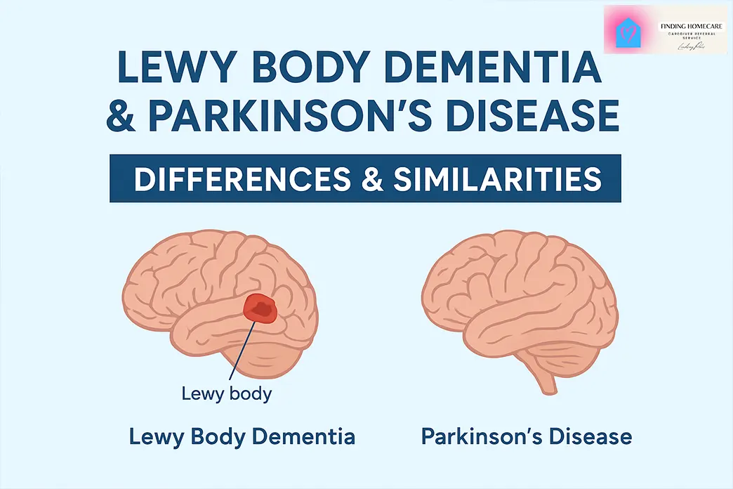 Lewy Body Dementia and Parkinson's Disease: Key Differences